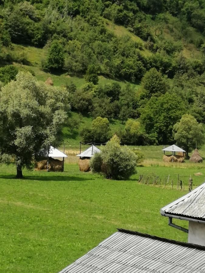 Фермерские дома Pensiunea Anca Berbeşti-14