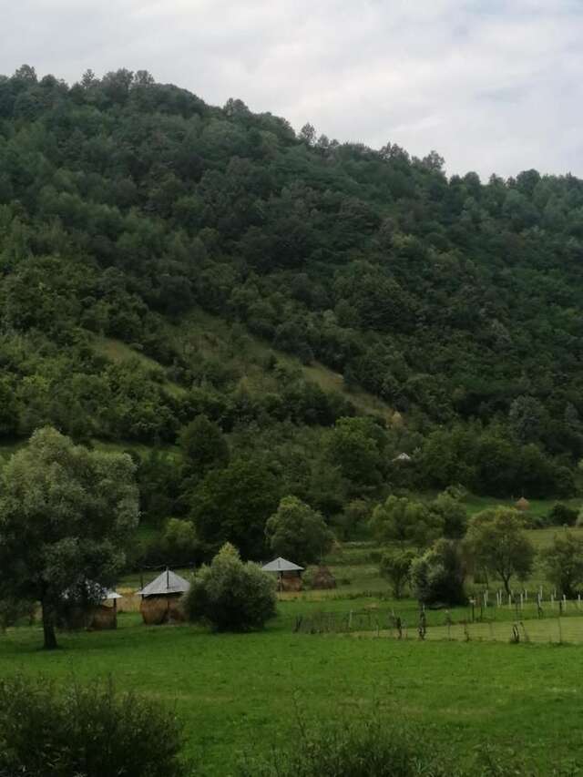 Фермерские дома Pensiunea Anca Berbeşti-9